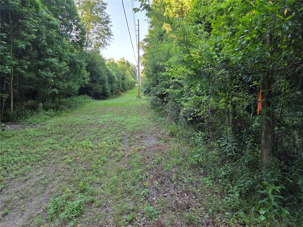 15929 NW 135TH TERRACE Alachua, FL 32615
