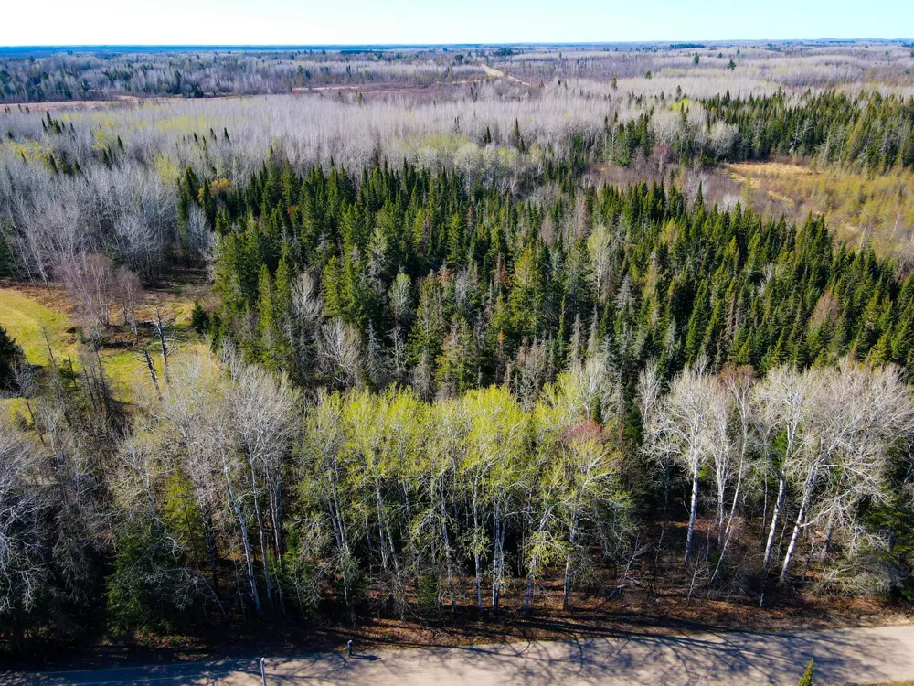Parcel B Township Road D Wawina, MN 55736