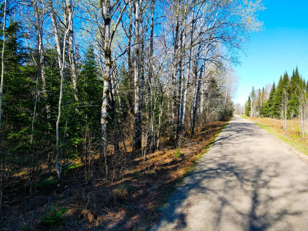 Parcel B Township Road D Wawina, MN 55736