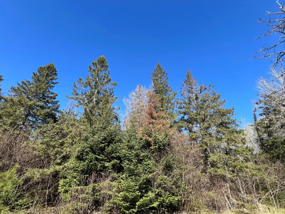 Parcel B Township Road D Wawina, MN 55736