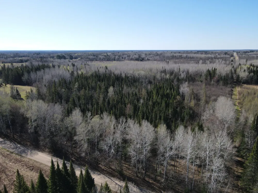 Parcel B Township Road D Wawina, MN 55736