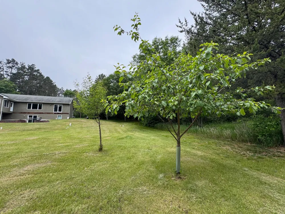11672 147th Avenue Menahga, MN 56464