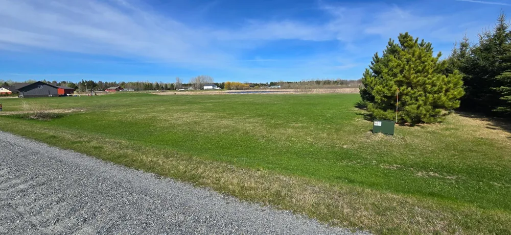 TBD Chandler Road NW Baudette, MN 56623