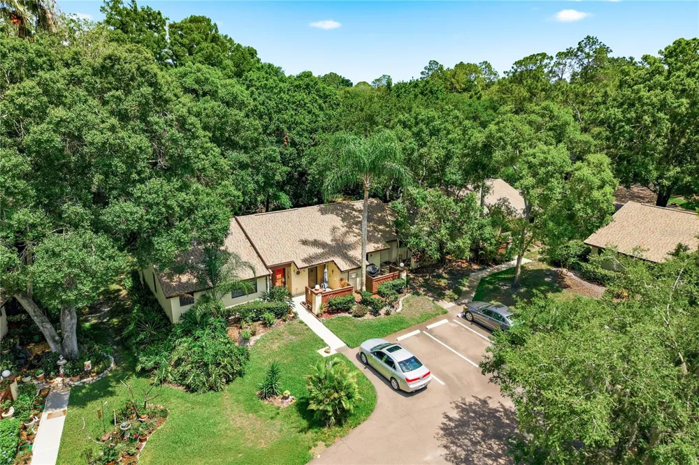 4041 ARROWWOOD COURT #4041 Palm Harbor, FL 34684