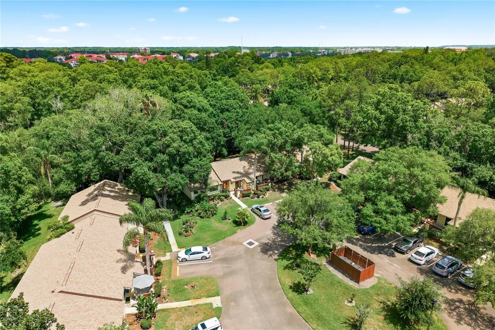 4041 ARROWWOOD COURT #4041 Palm Harbor, FL 34684