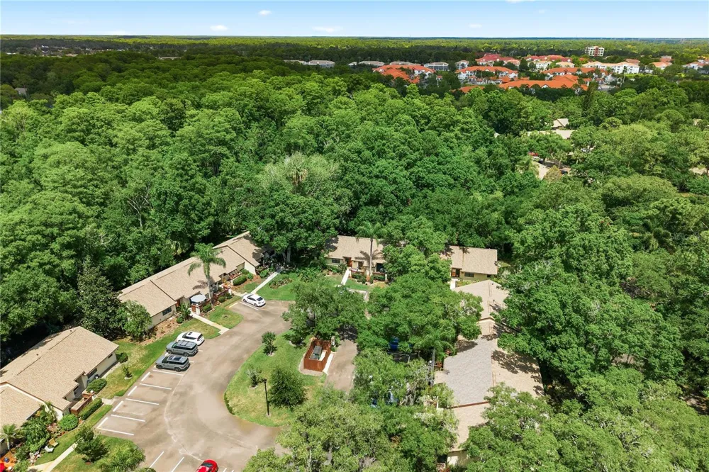 4041 ARROWWOOD COURT #4041 Palm Harbor, FL 34684