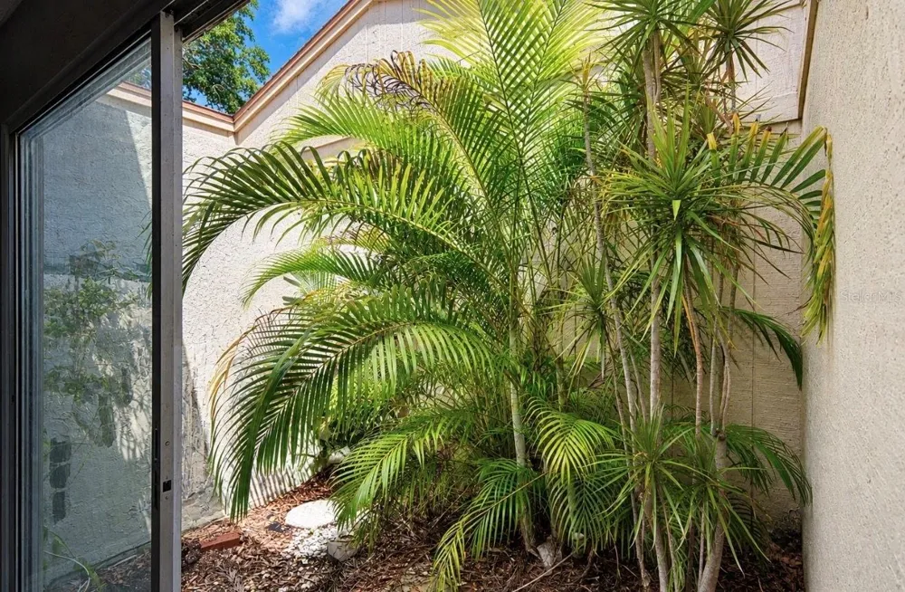3506 AUBURN COURT #230 Sarasota, FL 34231