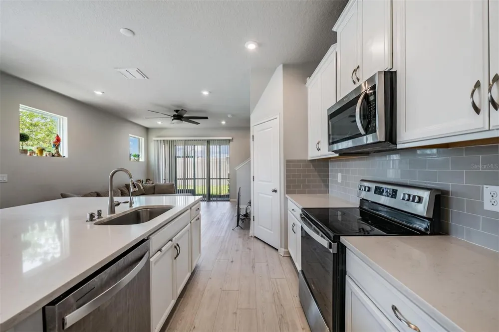19153 ELSIMONT ISLE Lutz, FL 33558