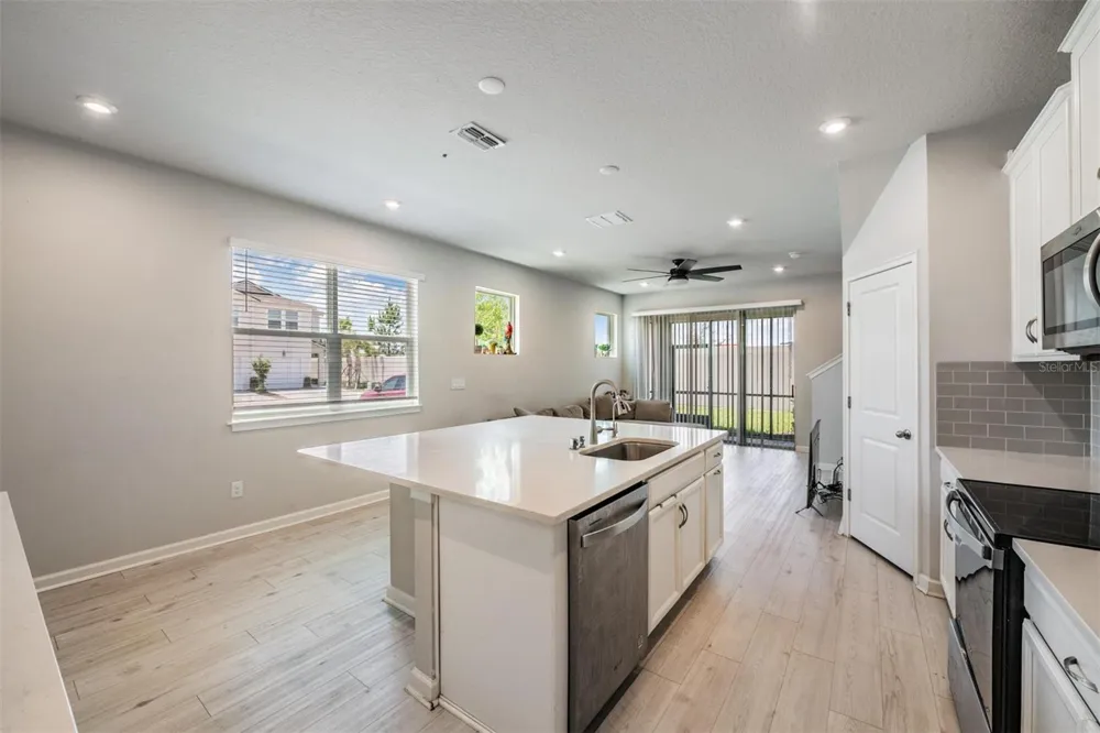 19153 ELSIMONT ISLE Lutz, FL 33558