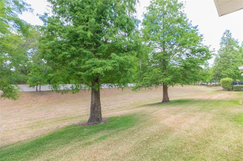 3152 ROYAL TUSCAN LANE Valrico, FL 33594