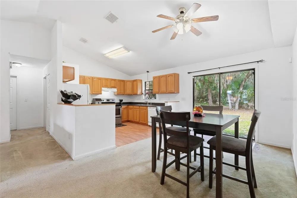 173 LITTLE ORANGE LAKE DRIVE Hawthorne, FL 32640