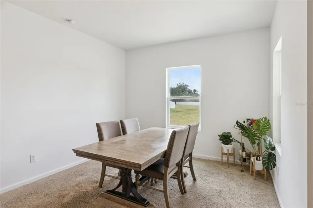 903 SHIMMERING OAKS LANE Seffner, FL 33584