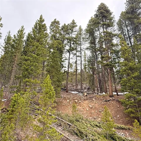 LOT 406 Glory Hole Road
