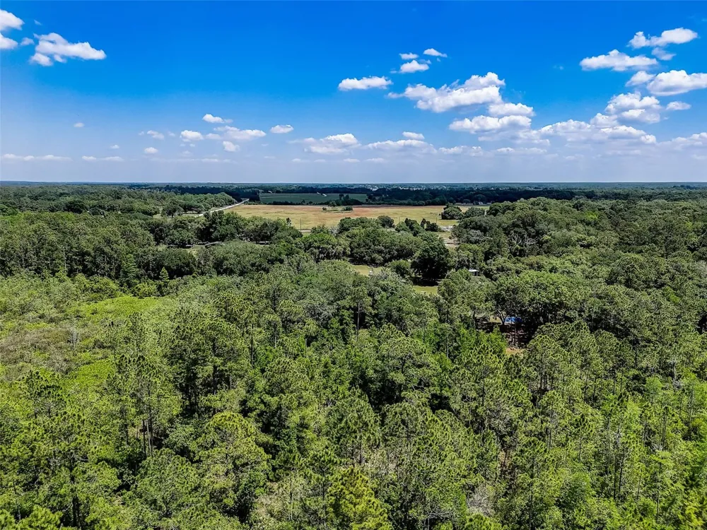 7119 STATE ROAD 33 Clermont, FL 34714