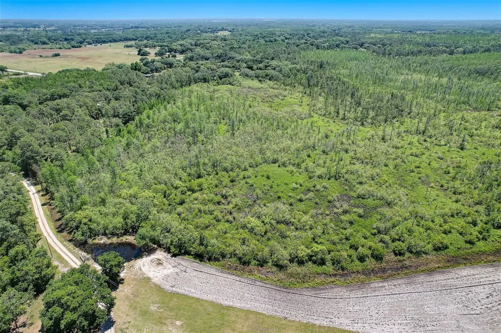 7119 STATE ROAD 33 Clermont, FL 34714