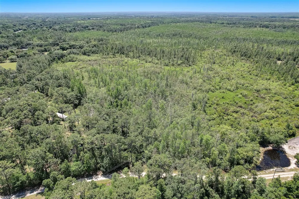 7119 STATE ROAD 33 Clermont, FL 34714