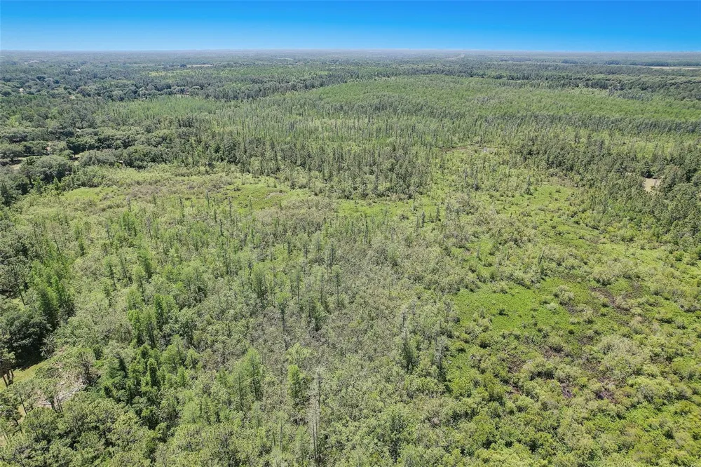 7119 STATE ROAD 33 Clermont, FL 34714