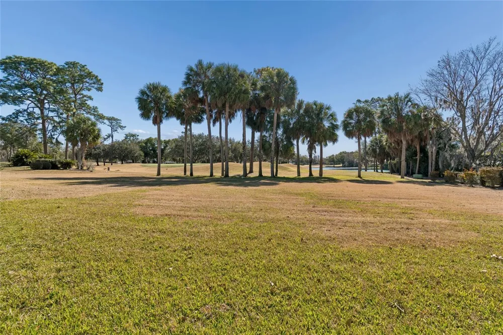 29244 WHIPPORWILL LANE Wesley Chapel, FL 33543