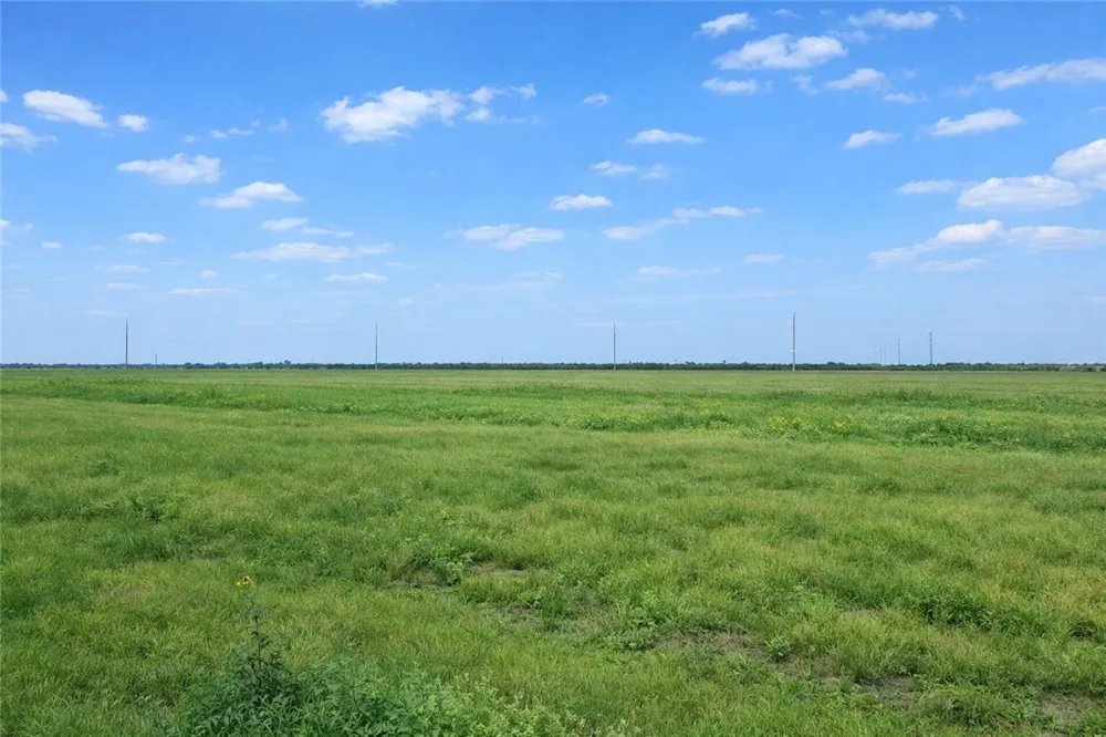 FM2556 La Feria, TX 78559