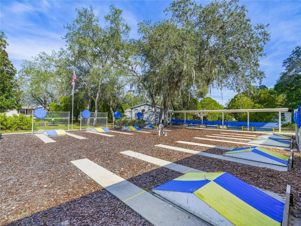 20 SILVER DOCTOR LANE Lake Wales, FL 33898