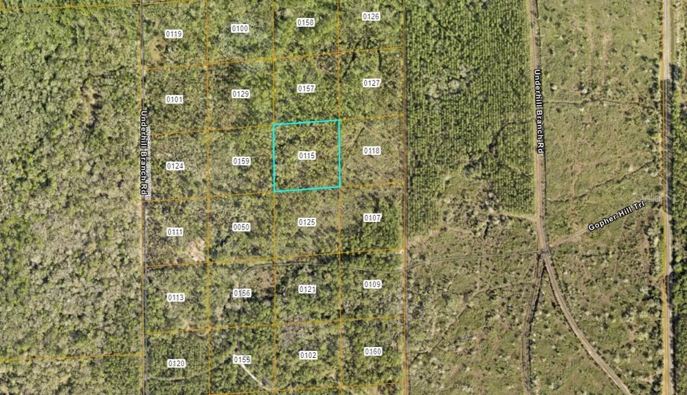 LAKE HARNEY ROAD Osteen, FL 32764