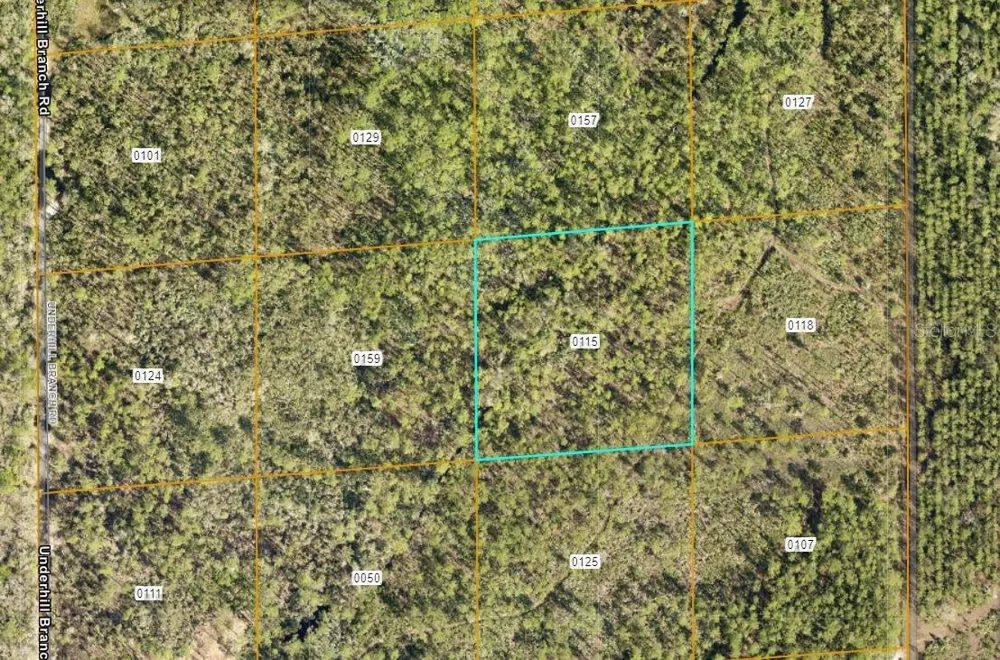 LAKE HARNEY ROAD Osteen, FL 32764