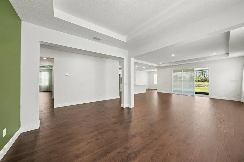 23231 SCAGLIONE DRIVE Lutz, FL 33549