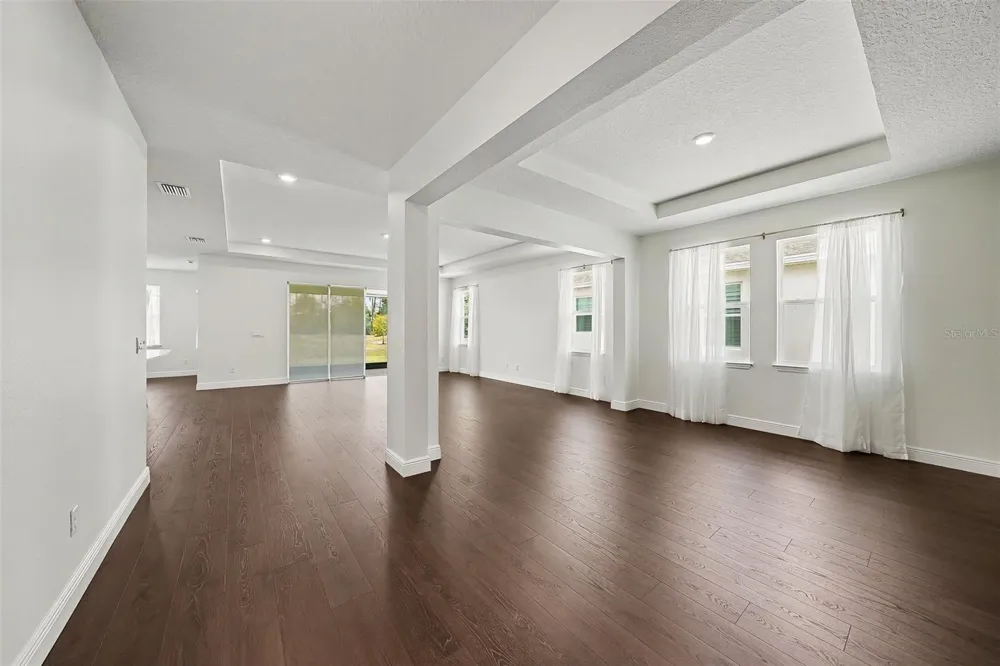 23231 SCAGLIONE DRIVE Lutz, FL 33549