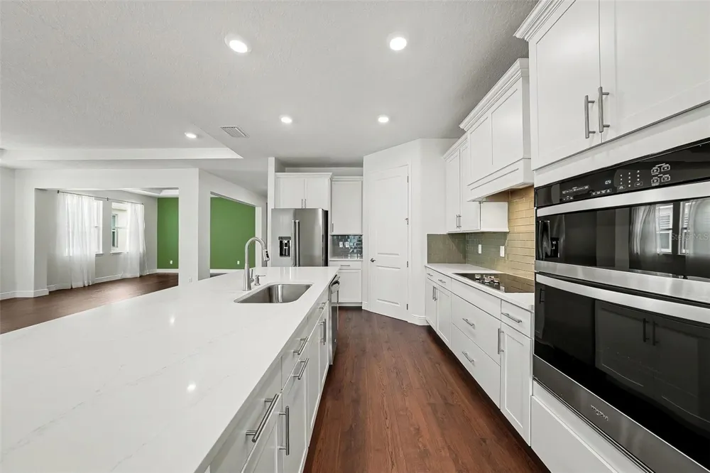 23231 SCAGLIONE DRIVE Lutz, FL 33549