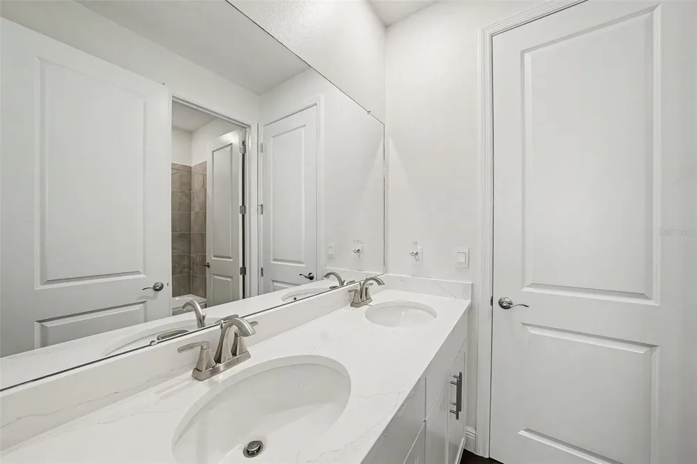 23231 SCAGLIONE DRIVE Lutz, FL 33549