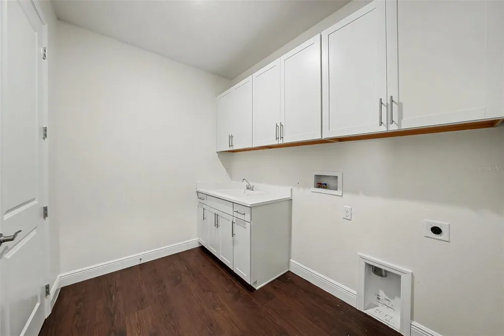 23231 SCAGLIONE DRIVE Lutz, FL 33549