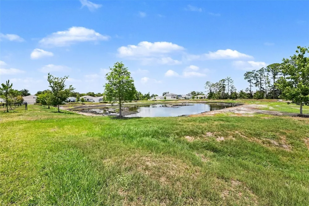 23231 SCAGLIONE DRIVE Lutz, FL 33549