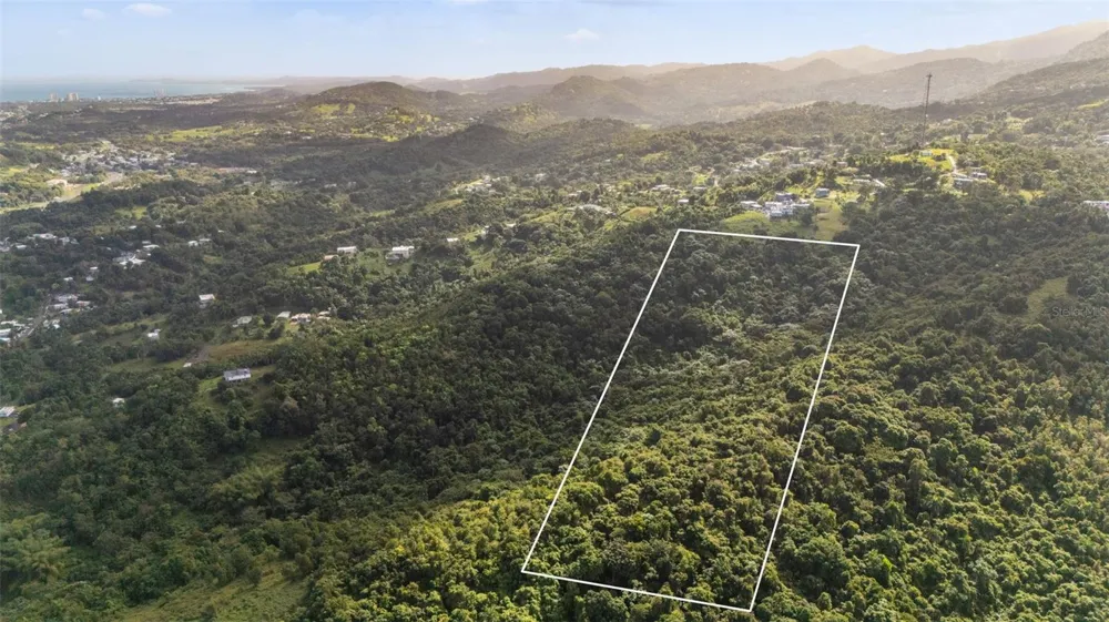 966 ZARZAL ROAD Rio Grande, PR 00745