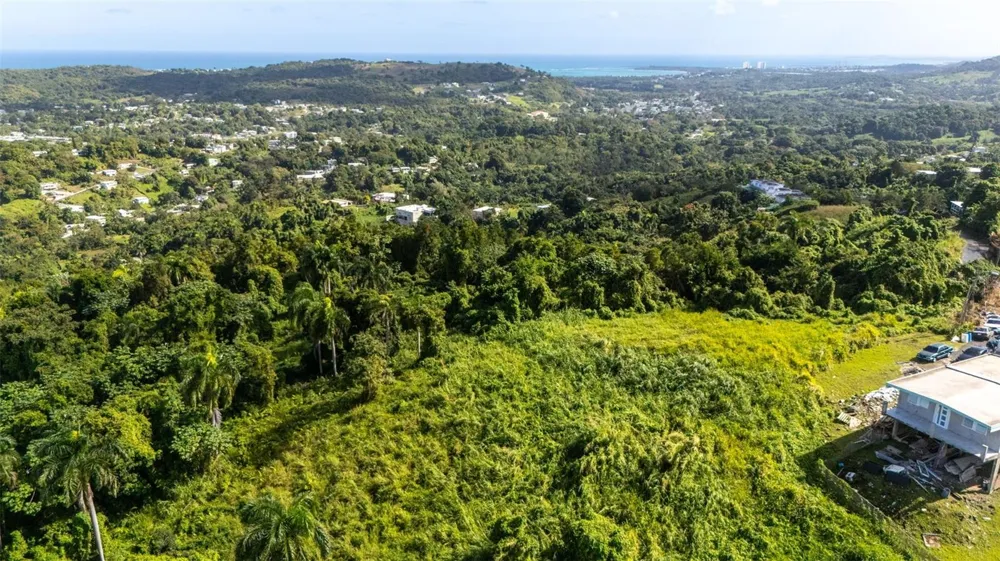 966 ZARZAL ROAD Rio Grande, PR 00745