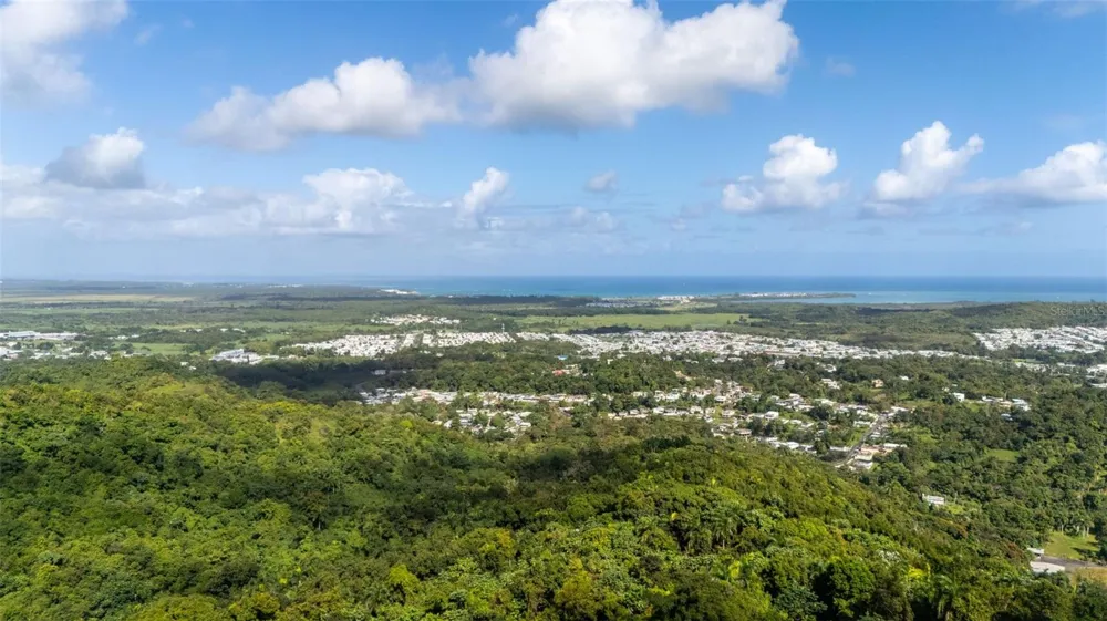 966 ZARZAL ROAD Rio Grande, PR 00745