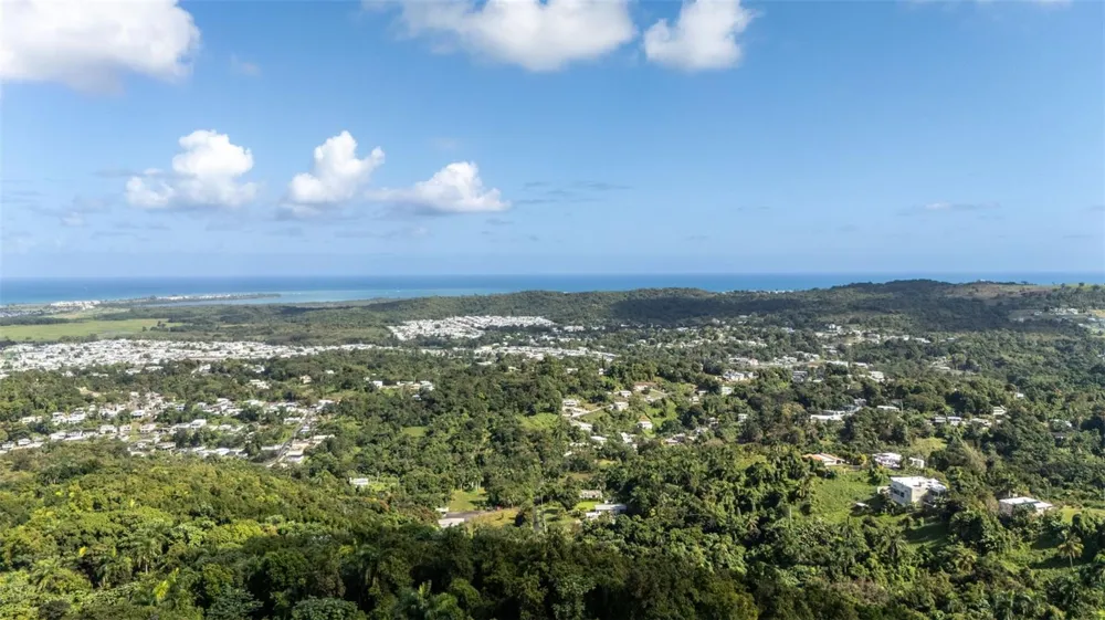 966 ZARZAL ROAD Rio Grande, PR 00745