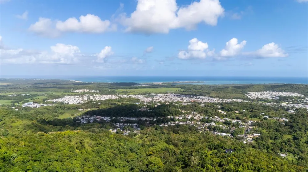 966 ZARZAL ROAD Rio Grande, PR 00745