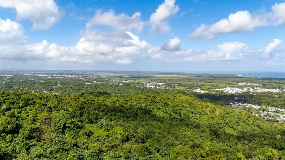 966 ZARZAL ROAD Rio Grande, PR 00745