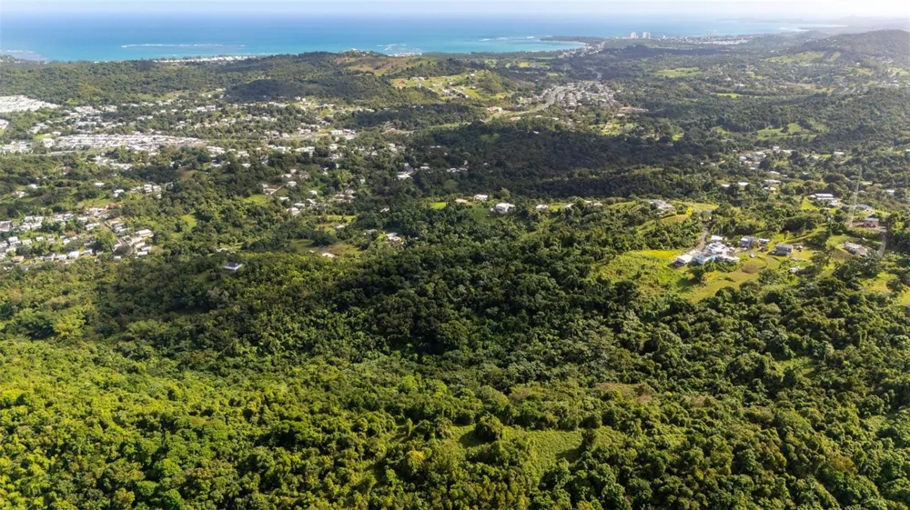 966 ZARZAL ROAD Rio Grande, PR 00745