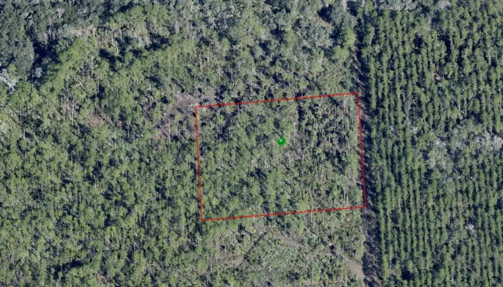 LAKE HARNEY ROAD Osteen, FL 32764
