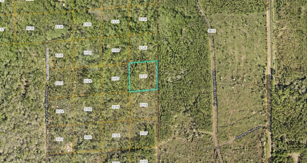 LAKE HARNEY ROAD Osteen, FL 32764