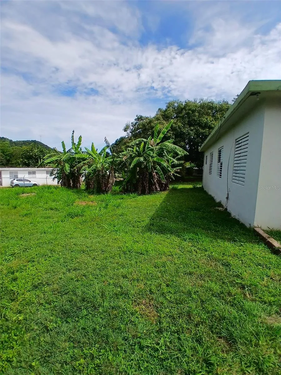 372 SECTOR COTUY Yauco, PR 00698
