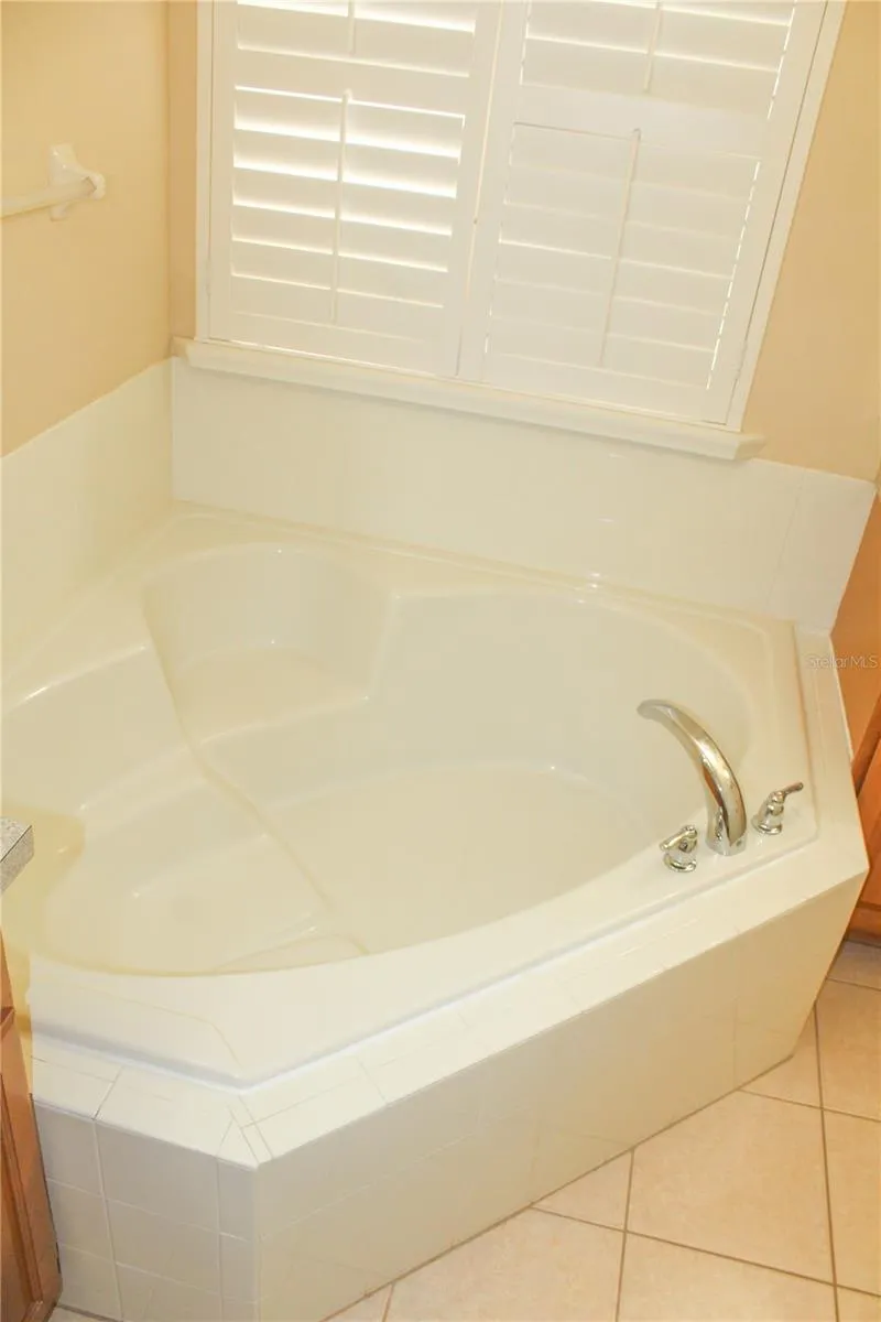 14252 CONFETTI DRIVE Windermere, FL 34786