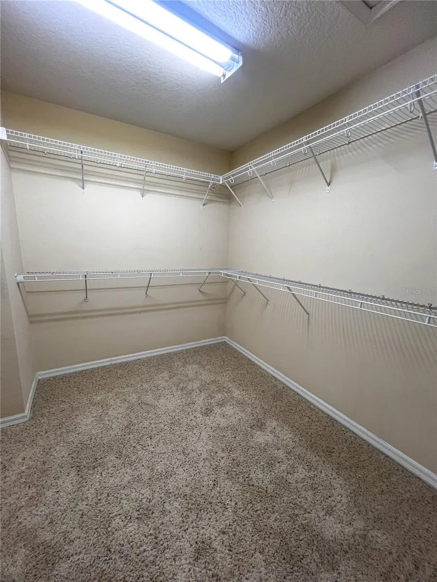 14252 CONFETTI DRIVE Windermere, FL 34786