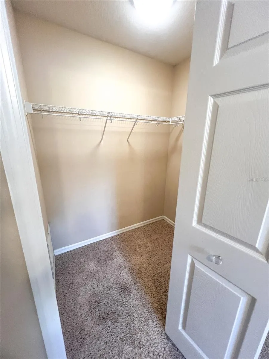 14252 CONFETTI DRIVE Windermere, FL 34786