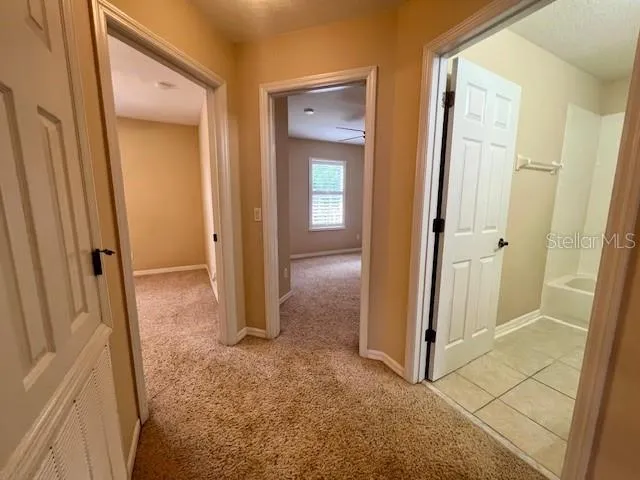 14252 CONFETTI DRIVE Windermere, FL 34786