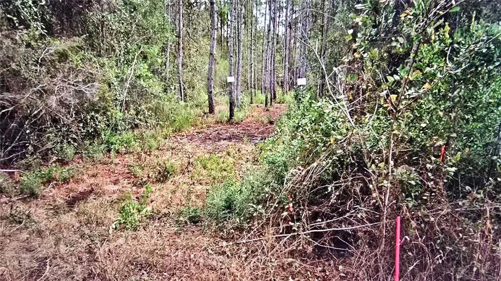00 MEMORY LANE Milton, FL 32583