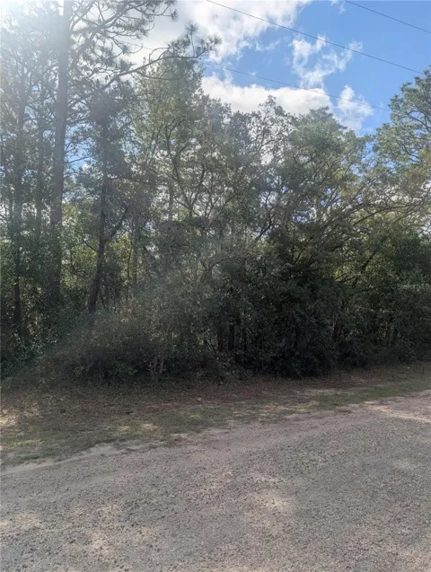 8791 FOLLAND DRIVE