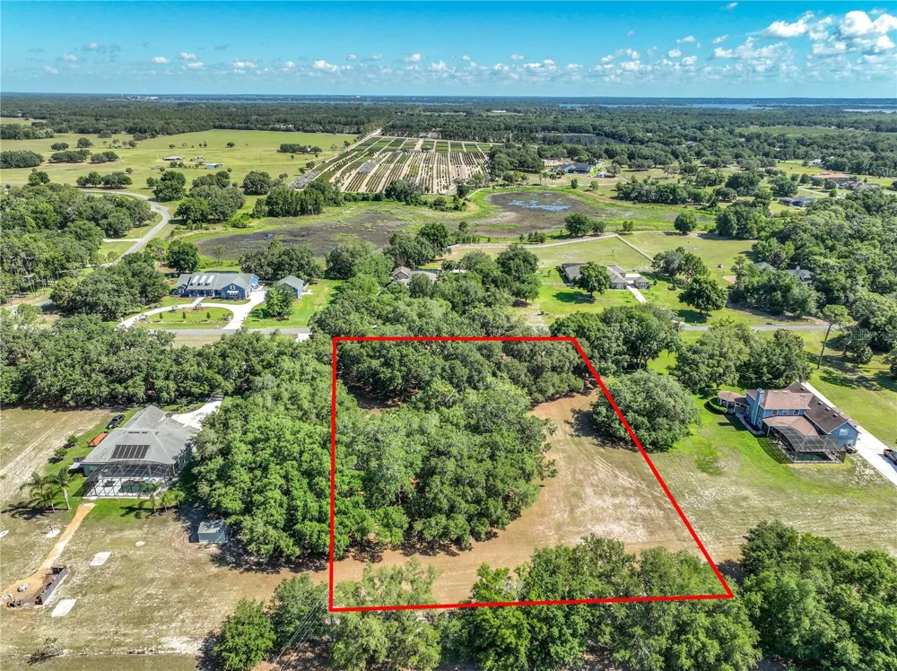 TROTTING HORSE LANE Tavares, FL 32778