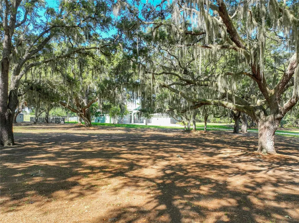 TROTTING HORSE LANE Tavares, FL 32778